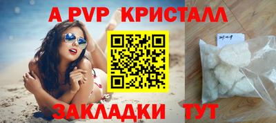 хмурый Кингисепп