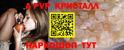 хмурый Кингисепп