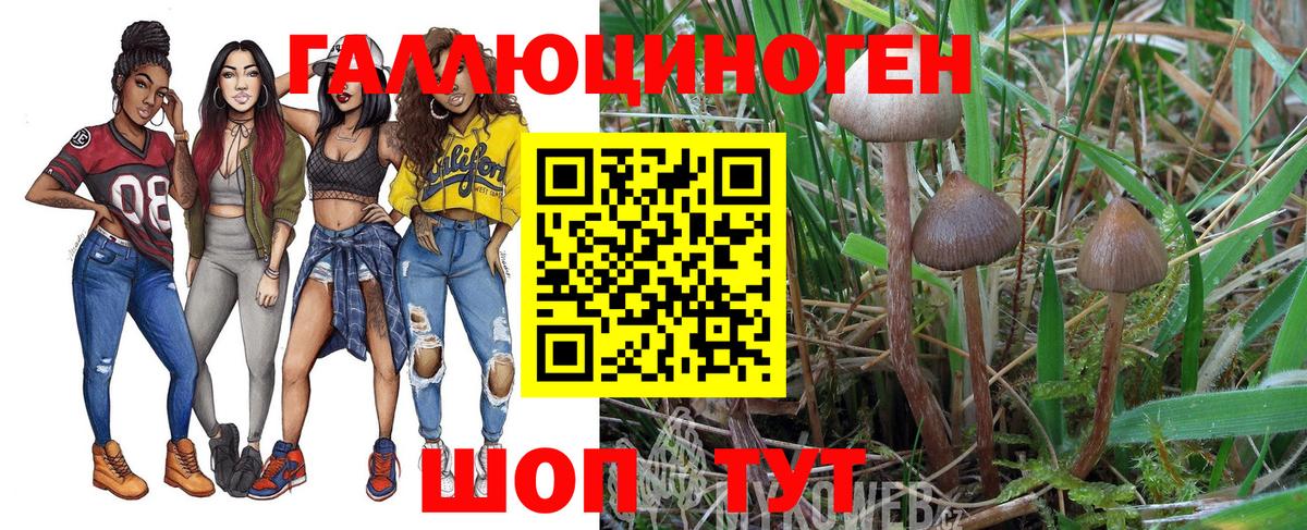 Галлюциногенные грибы Magic Shrooms  Вход с VPN  Зеленокумск 